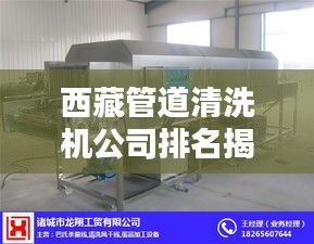 西藏管道清洗機公司排名揭曉,優(yōu)質企業(yè)榜單不容錯過!