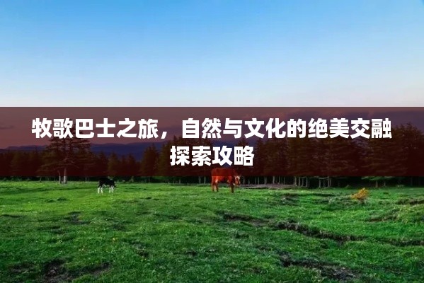 牧歌巴士之旅,自然與文化的絕美交融探索攻略