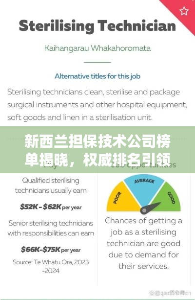 新西蘭擔保技術公司榜單揭曉,權威排名引領行業風向標