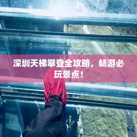 深圳天梯攀登全攻略,暢游必玩景點(diǎn)!