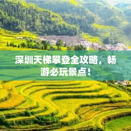 深圳天梯攀登全攻略,暢游必玩景點!