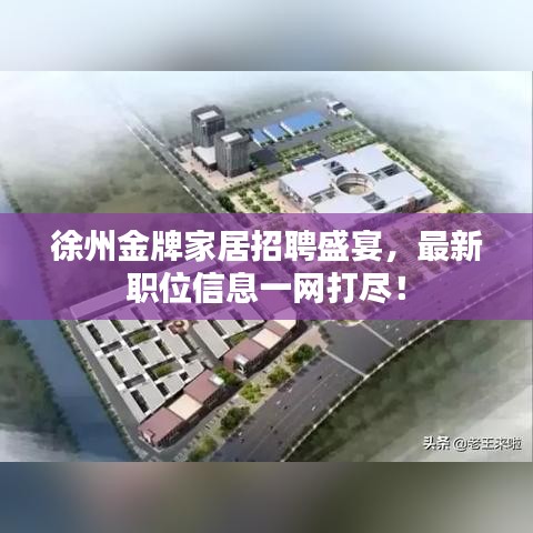 徐州金牌家居招聘盛宴,最新職位信息一網打盡!