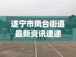 遂寧市鳳臺街道最新資訊速遞