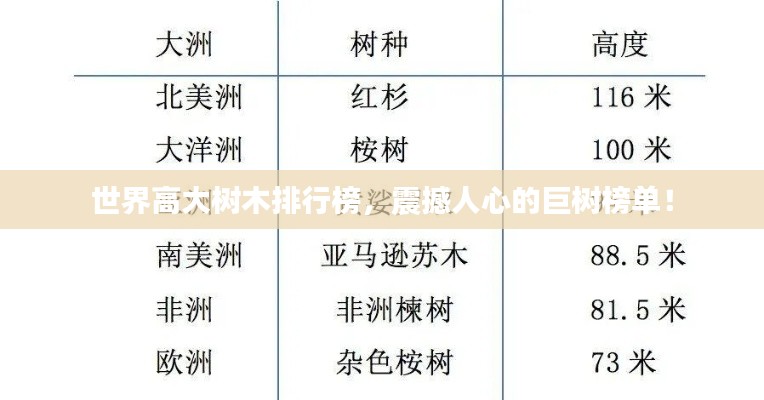 世界高大樹木排行榜，震撼人心的巨樹榜單！
