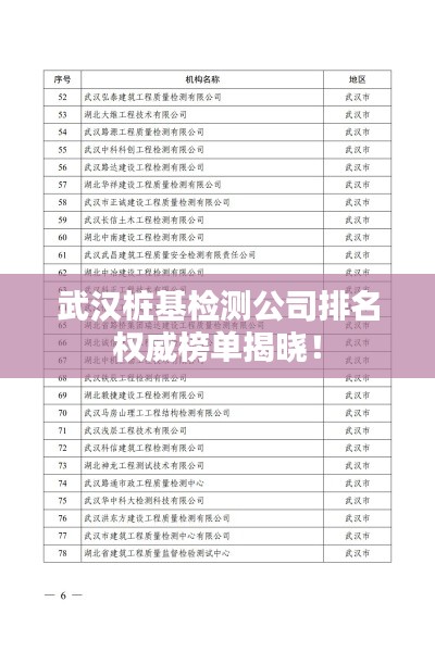 武漢樁基檢測公司排名權威榜單揭曉!