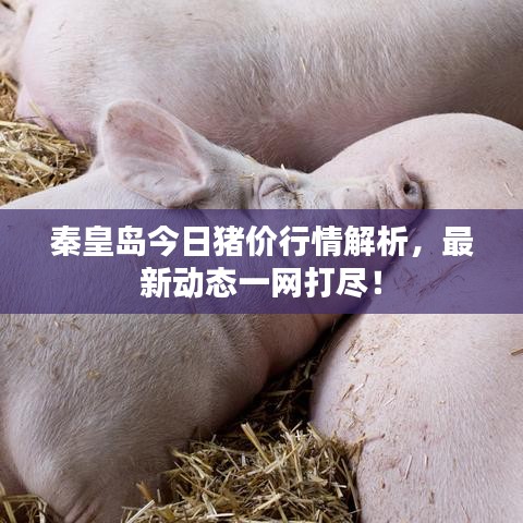 兢兢業(yè)業(yè) 第2頁