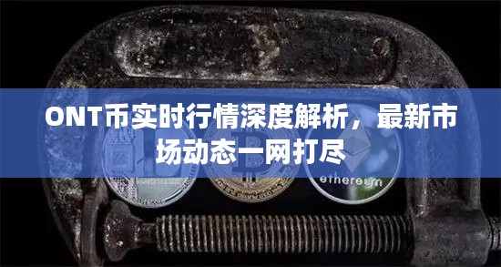 ONT幣實時行情深度解析,最新市場動態(tài)一網(wǎng)打盡