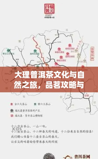 大理普洱茶文化與自然之旅，品茗攻略與旅行指南雙重體驗