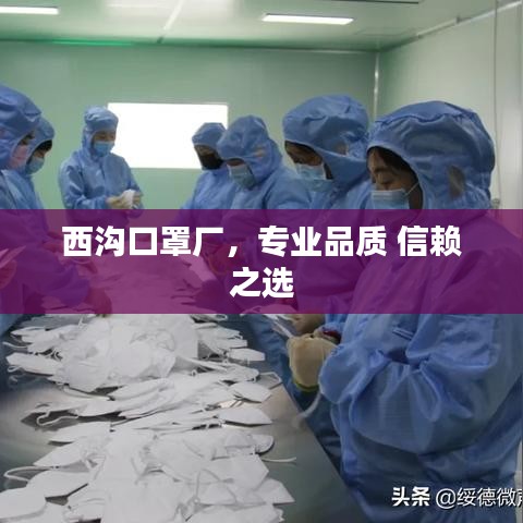 西溝口罩廠,專業(yè)品質 信賴之選