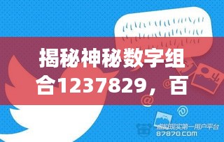 揭秘神秘數字組合1237829,百度背后的故事探秘