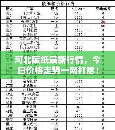 河北廢紙最新行情,今日價格走勢一網打盡!