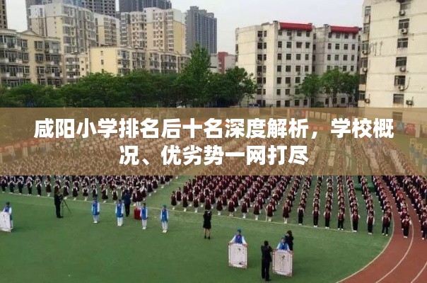 咸陽小學排名后十名深度解析,學校概況、優劣勢一網打盡