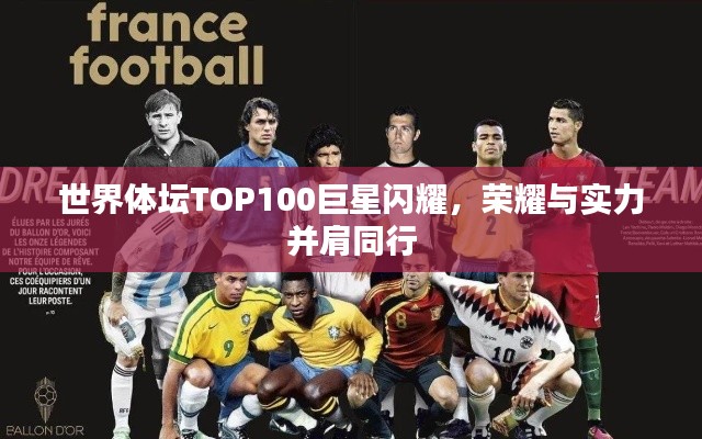 世界體壇TOP100巨星閃耀,榮耀與實力并肩同行