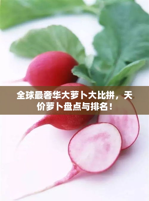 全球最奢華大蘿卜大比拼,天價蘿卜盤點與排名!