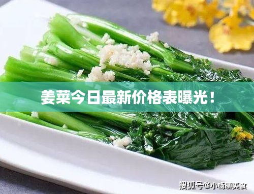 姜菜今日最新價格表曝光!