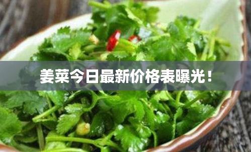 姜菜今日最新價格表曝光!