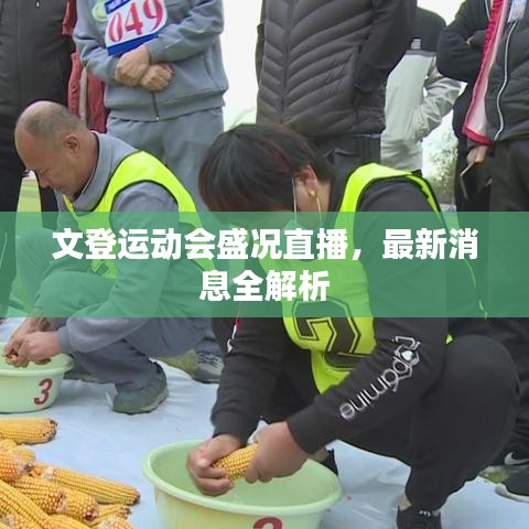 文登運動會盛況直播,最新消息全解析
