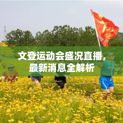 文登運動會盛況直播,最新消息全解析