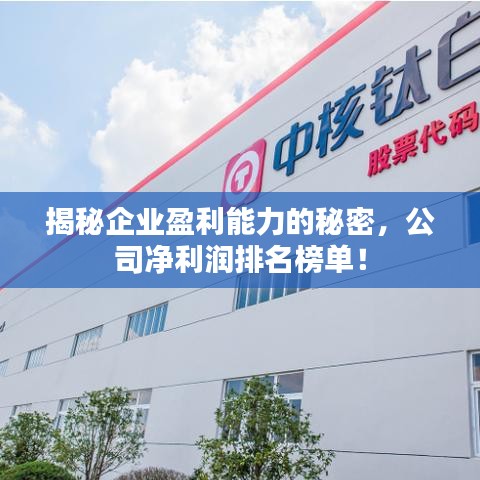揭秘企業盈利能力的秘密,公司凈利潤排名榜單!