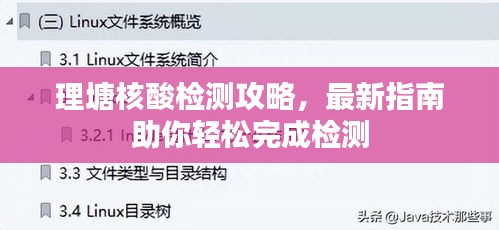理塘核酸檢測攻略,最新指南助你輕松完成檢測