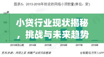小貸行業(yè)現(xiàn)狀揭秘,挑戰(zhàn)與未來趨勢展望