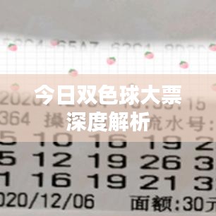 今日雙色球大票深度解析