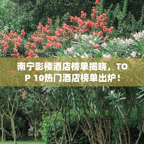 南寧影樓酒店榜單揭曉,TOP 10熱門酒店榜單出爐!