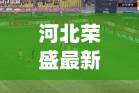 河北榮盛最新動態,今日頭條新聞報道揭秘!
