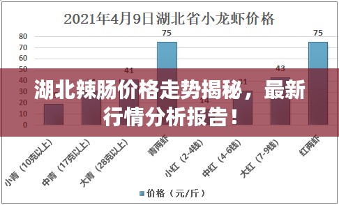 湖北辣腸價格走勢揭秘,最新行情分析報告!