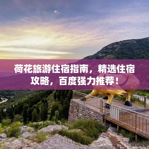 荷花旅游住宿指南，精選住宿攻略，百度強力推薦！