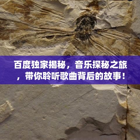 百度獨家揭秘，音樂探秘之旅，帶你聆聽歌曲背后的故事！
