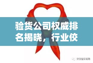 驗(yàn)貨公司權(quán)威排名揭曉,行業(yè)佼佼者一覽無(wú)余