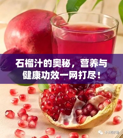 石榴汁的奧秘,營養與健康功效一網打盡!