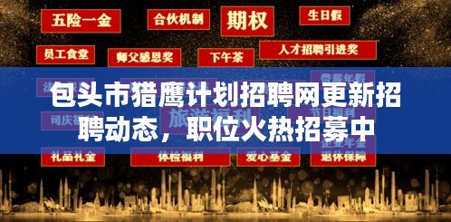 包頭市獵鷹計劃招聘網更新招聘動態,職位火熱招募中
