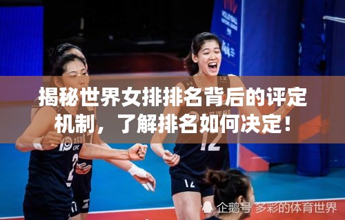 揭秘世界女排排名背后的評定機制,了解排名如何決定!