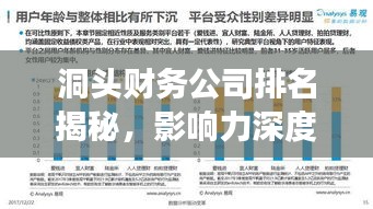 洞頭財務公司排名揭秘,影響力深度剖析