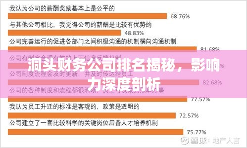 洞頭財務公司排名揭秘,影響力深度剖析