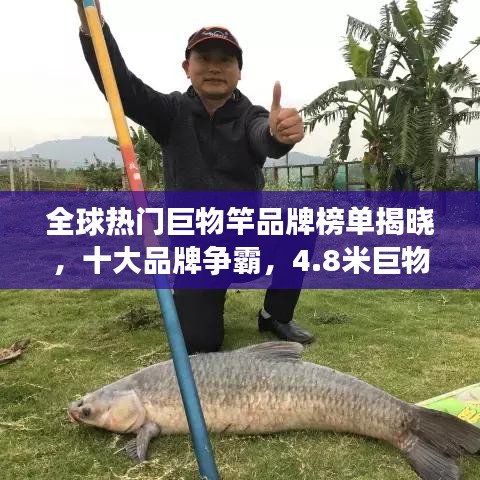 全球熱門巨物竿品牌榜單揭曉,十大品牌爭霸,4.8米巨物竿榮登前十名