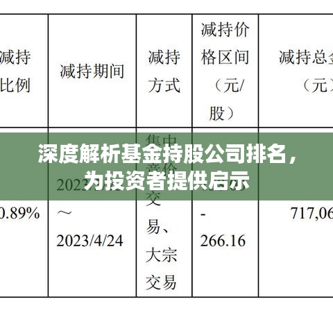 深度解析基金持股公司排名,為投資者提供啟示