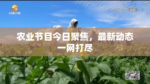 農業節目今日聚焦,最新動態一網打盡