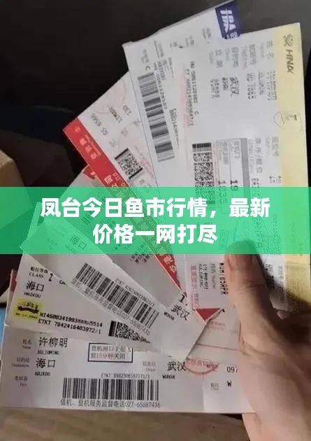 鳳臺今日魚市行情，最新價(jià)格一網(wǎng)打盡