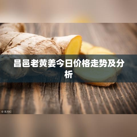 昌邑老黃姜今日價格走勢及分析