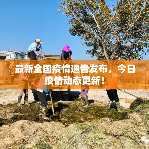最新全國(guó)疫情通告發(fā)布,今日疫情動(dòng)態(tài)更新!