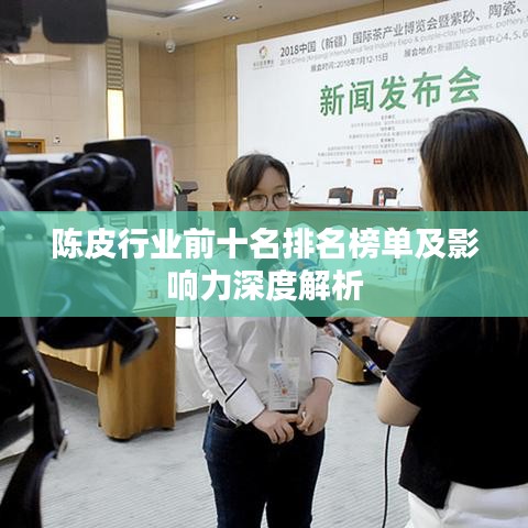 陳皮行業(yè)前十名排名榜單及影響力深度解析
