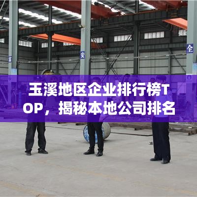 玉溪地區企業排行榜TOP,揭秘本地公司排名領先者
