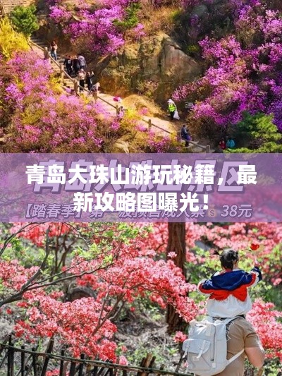 青島大珠山游玩秘籍,最新攻略圖曝光!