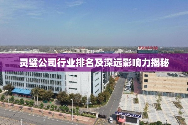 靈璧公司行業排名及深遠影響力揭秘