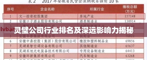 靈璧公司行業排名及深遠影響力揭秘
