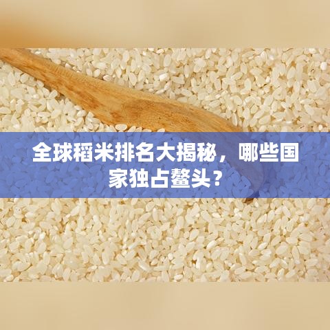全球稻米排名大揭秘，哪些國家獨占鰲頭？