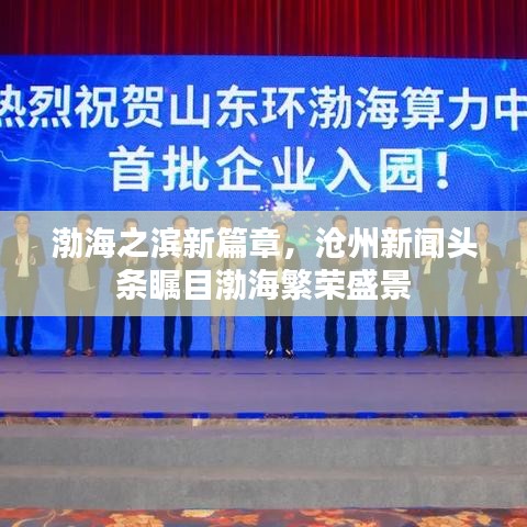 渤海之濱新篇章,滄州新聞頭條矚目渤海繁榮盛景